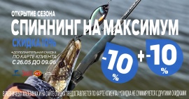 Спин 10+10